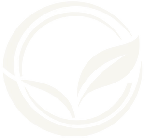 Quintana Medical Services Emblem